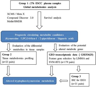 Combined Metabolomic Analysis of Plasma and Tissue Reveals a Prognostic Risk Score System and Metabolic Dysregulation in Esophageal Squamous Cell Carcinoma